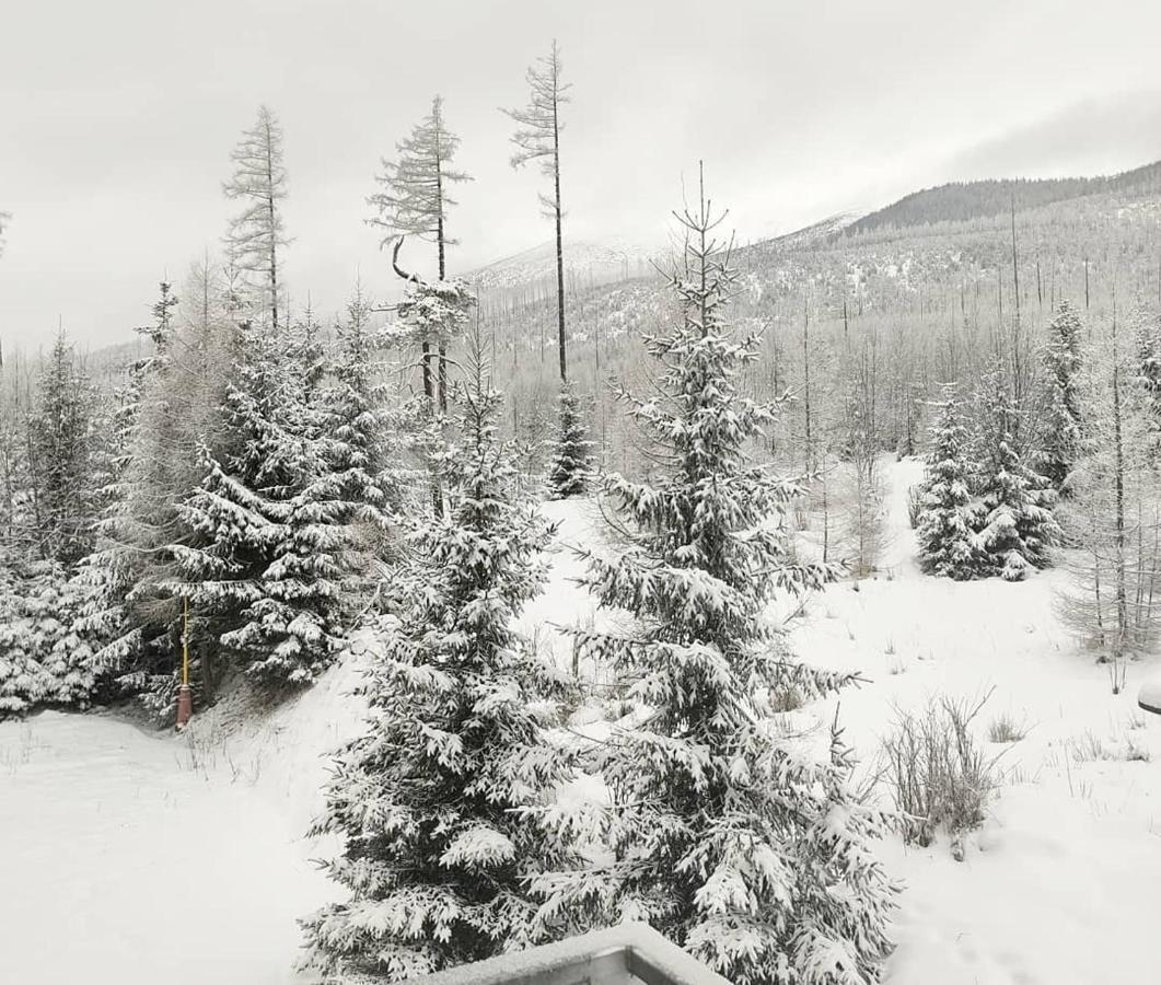 Ubytovanie Pod Gerlachom Vysoké Tatry 外观 照片