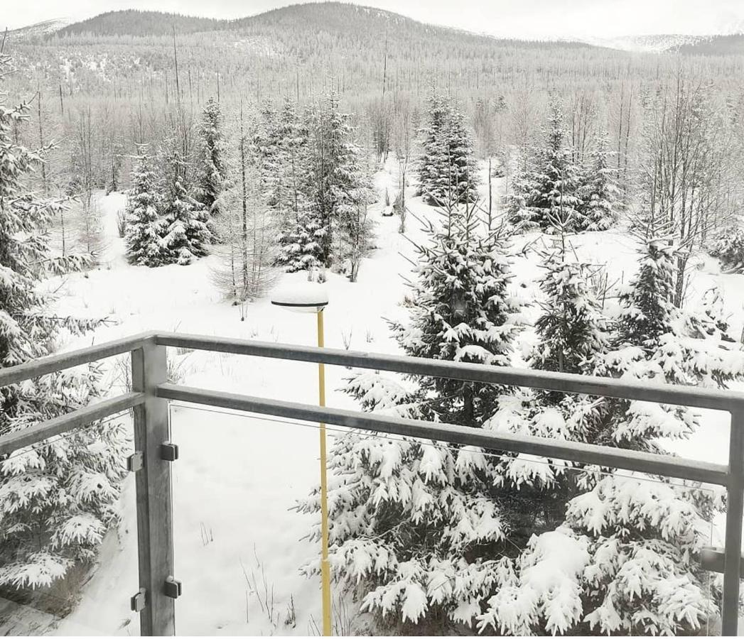Ubytovanie Pod Gerlachom Vysoké Tatry 外观 照片